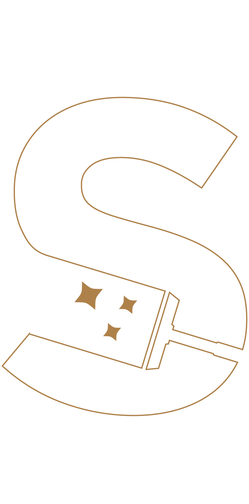 Icon-Logo-2